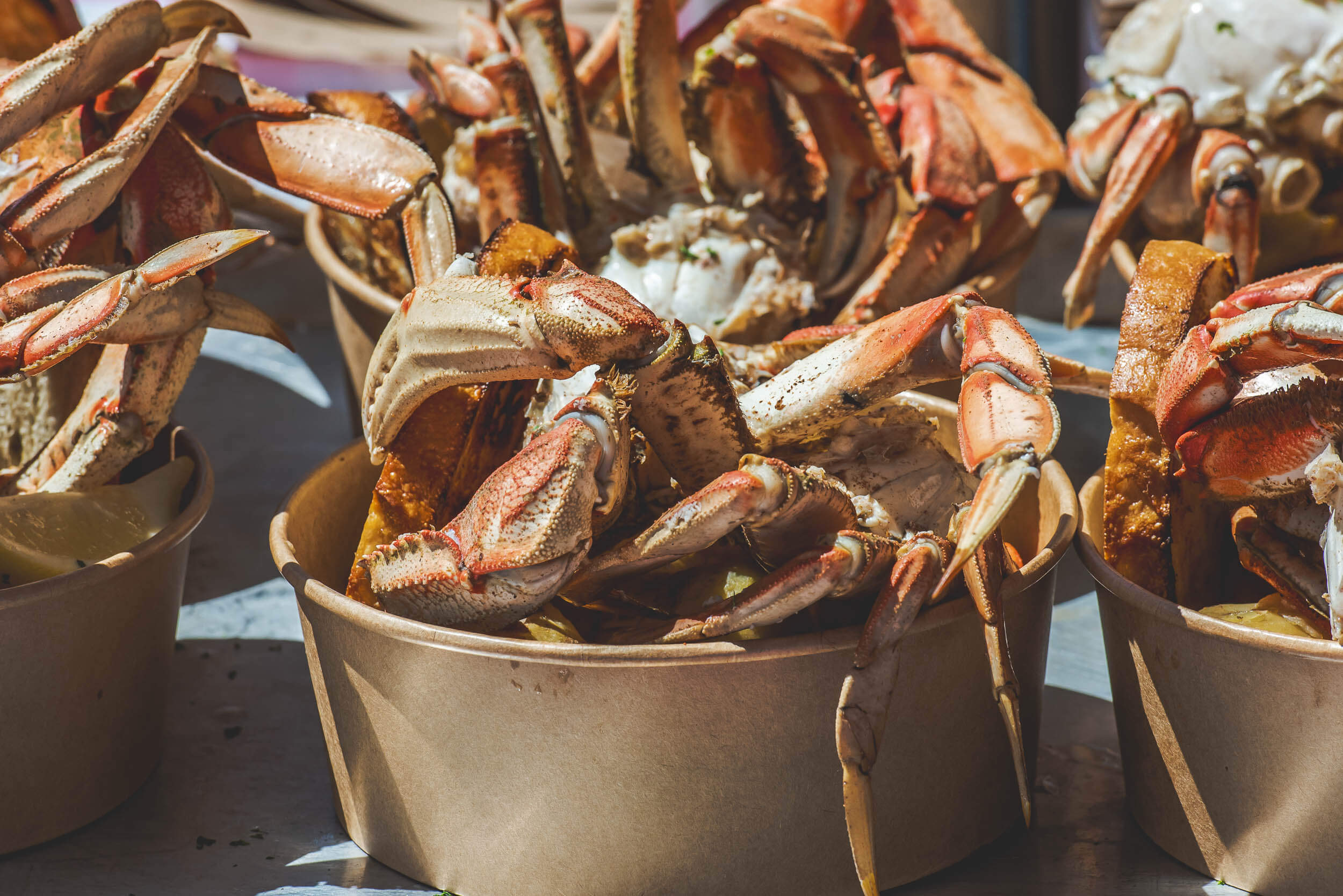 Families at BC CrabFest