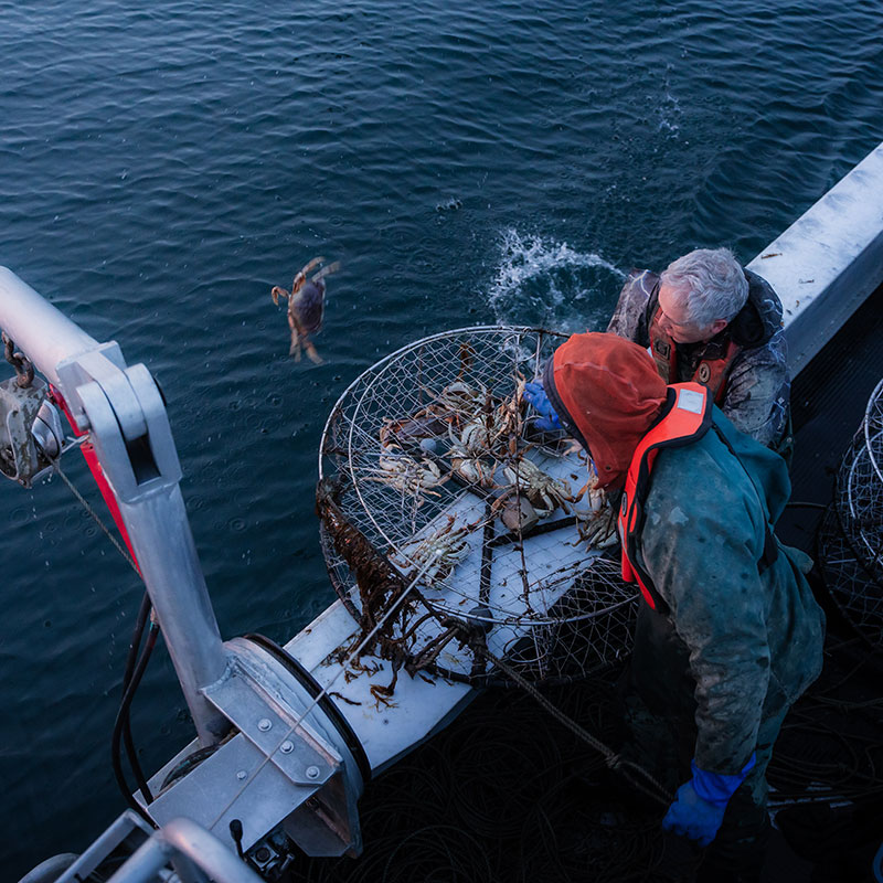 BC Crab Co fishing boat on the water supporting sustainable Dungeness crab harvesting